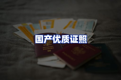 国产优质证照